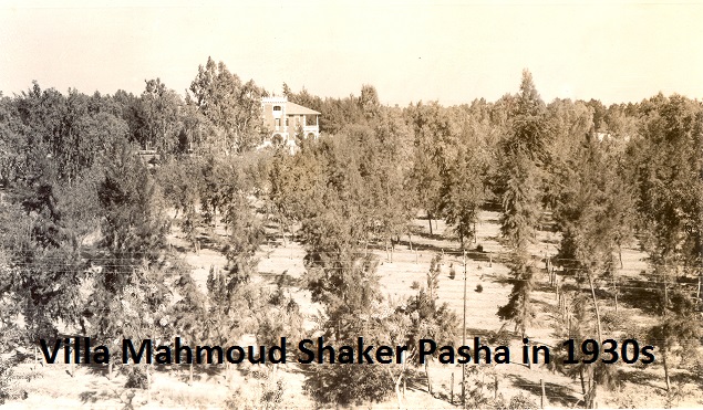 Villa Shaker Pasha